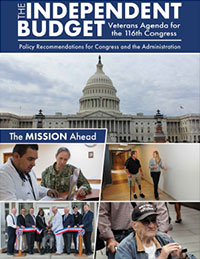 Download The Independent Budget for the 116th Congress PDF